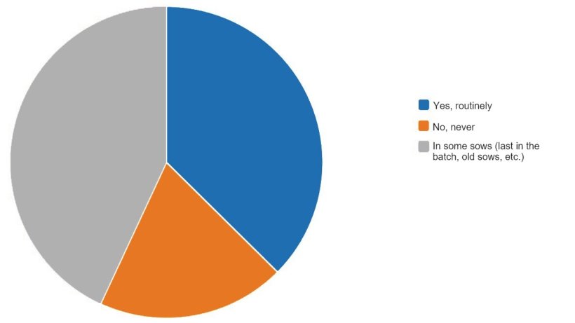 Results of the survey on synchronizing farrowing.